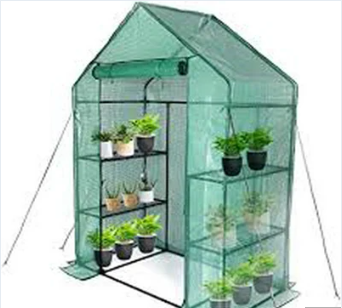 Advantages of Green Houses for Garden